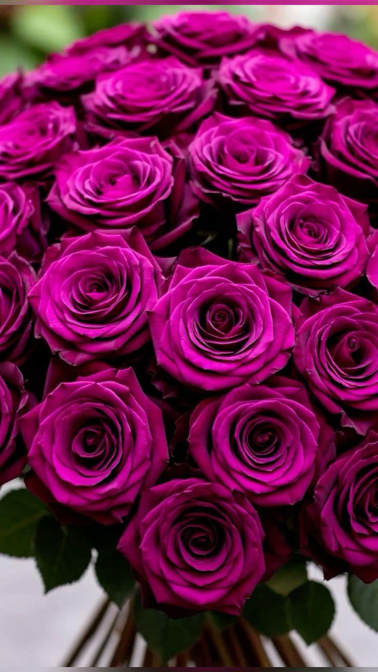 Wind Grove Forge workshop space where corporate flower arrangements are designed and prepared for business delivery